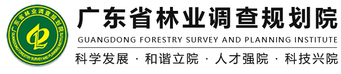 实习